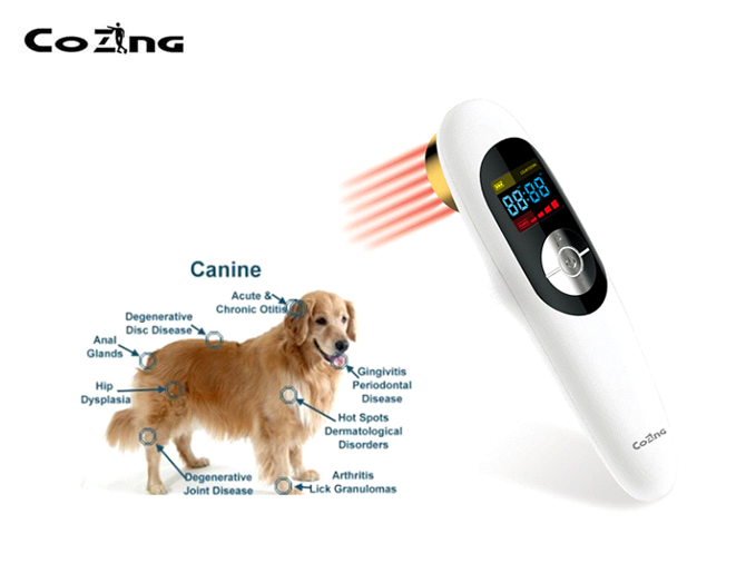 Veterinary Portable Cold Laser Therepay Device